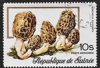[Airmail - Fungi, typ RM]