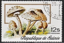 [Airmail - Fungi, typ RN]