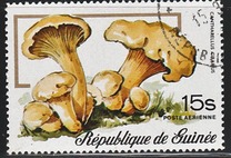 [Airmail - Fungi, typ RO]