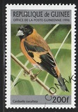 [Birds, type ARY]