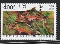 [Popular Aquarium Fish, type BDE]