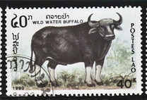 [Mammals, タイプ AUH]