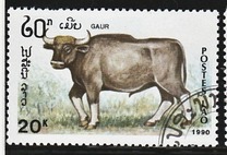 [Mammals, タイプ AUG]