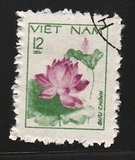 [Roses, Вид HX]