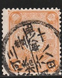 [Chrysanthemum, Tüüp AJ5]