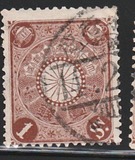 [Chrysanthemum, type AJ1]