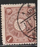 [Chrysanthemum, type AJ1]