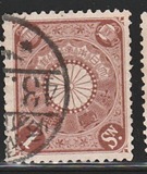 [Chrysanthemum, type AJ1]