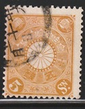 [Chrysanthemum, type AJ5]