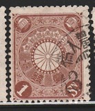 [Chrysanthemum, type AJ1]