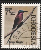 [Native Birds, type CT]