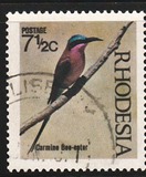 [Native Birds, type CT]