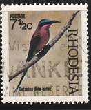 [Native Birds, type CT]