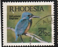 [Native Birds, type CR]