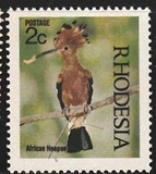 [Native Birds, type CQ]