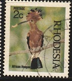 [Native Birds, type CQ]