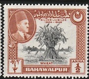 [The 25th Anniversary of the Reign of Sadeq Mohammad Khan V, タイプ M]