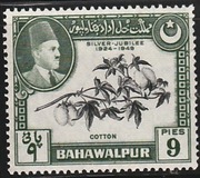 [The 25th Anniversary of the Reign of Sadeq Mohammad Khan V, タイプ N]