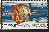 [Fish of the Pacific, type AF]