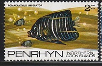 [Fish of the Pacific, type AE]