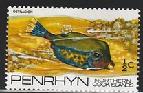 [Fish of the Pacific, type AC]
