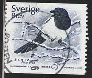 [Birds, type BMC]