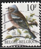 [Birds, type BNI]