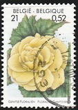 [Flower Exhibition in Gent, type CHV]