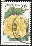 [Flower Exhibition in Gent, type CHV]