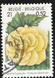 [Flower Exhibition in Gent, type CHV]