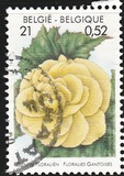 [Flower Exhibition in Gent, type CHV]