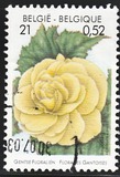 [Flower Exhibition in Gent, type CHV]