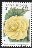 [Flower Exhibition in Gent, type CHV]