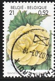 [Flower Exhibition in Gent, type CHV]