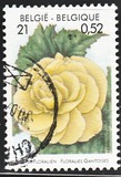 [Flower Exhibition in Gent, type CHV]