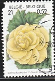 [Flower Exhibition in Gent, type CHV]