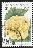 [Flower Exhibition in Gent, type CHV]