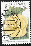 [Flower Exhibition in Gent, type CHV]