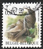 [Birds, type CII]