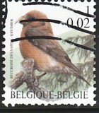 [Birds, type CIH]