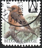 [Birds, type CIH]