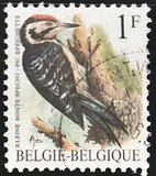 [Birds, type BNH]