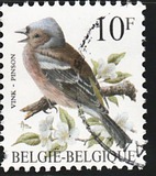 [Birds, type BNI]