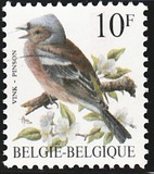 [Birds, type BNI]