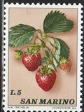 [Fruits, Tipo AAC]