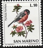 [Birds, タイプ ZC]