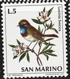 [Birds, タイプ ZB]