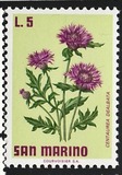 [Flowers, type YJ]