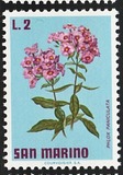 [Flowers, type YG]
