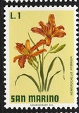 [Flowers, type YF]
